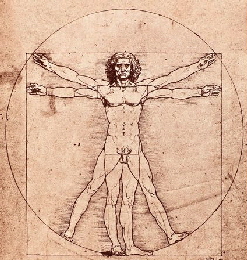 Vitruvian Man - Leonardo Da Vinci - the Renaissance